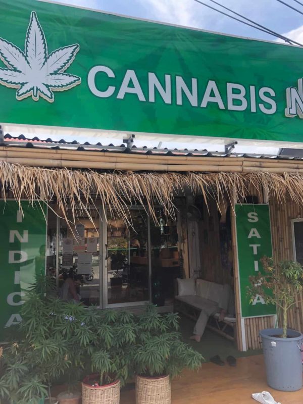 Cannabis N Cannabis Dispensaries In Ko Samui