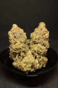 mandarin cookies bud