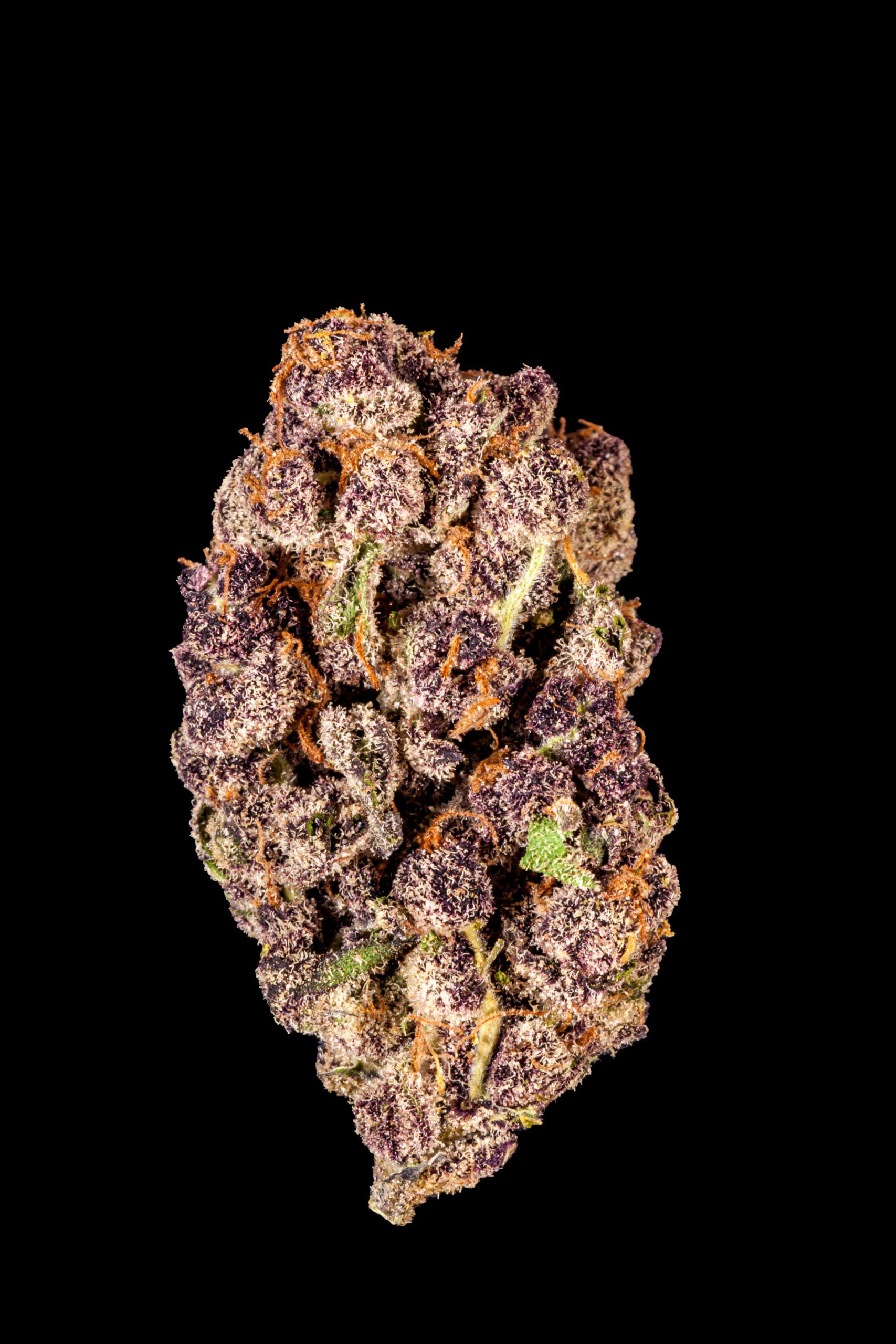 Cannabis Bud