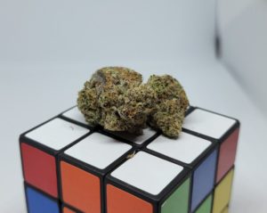 Oreo Cookies - Top shelf cannabis