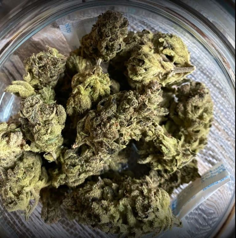 345 Cannabis Dispensary 1 768x774