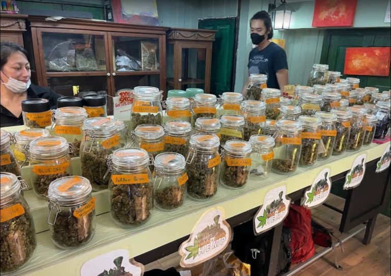 Choo Choo Hemp inside 1 768x543