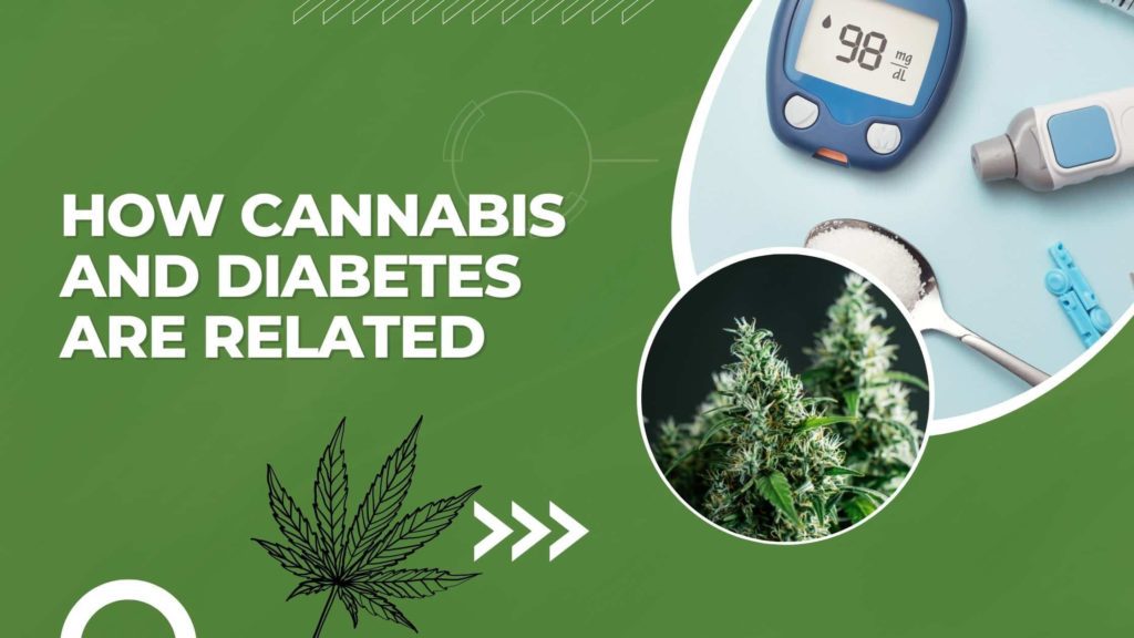 How Cannabis and Diabetes are related