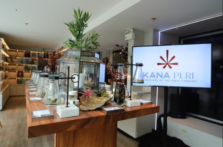 Kana Pure Dispensary indoors 1 768x509
