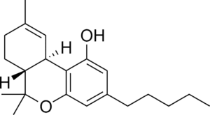 THC biological structure