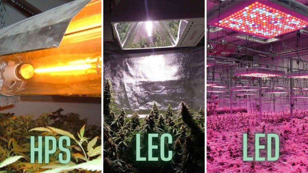 HPS、LEC、LEDの大麻用照明器具