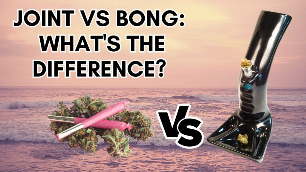 Joint vs Bong: What's the Difference?