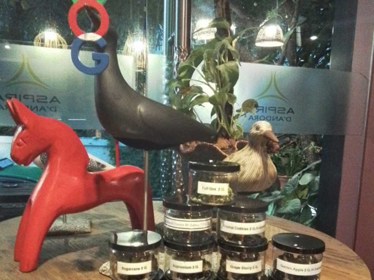 OG Dutch Cannabis Dispensary sukhumvit soi 16 inside 1 768x576