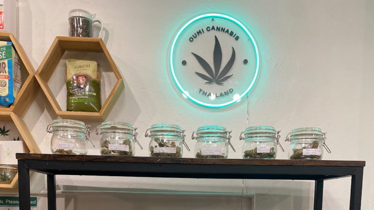 OUMI CANNABIS THAILAND inside logo 768x433