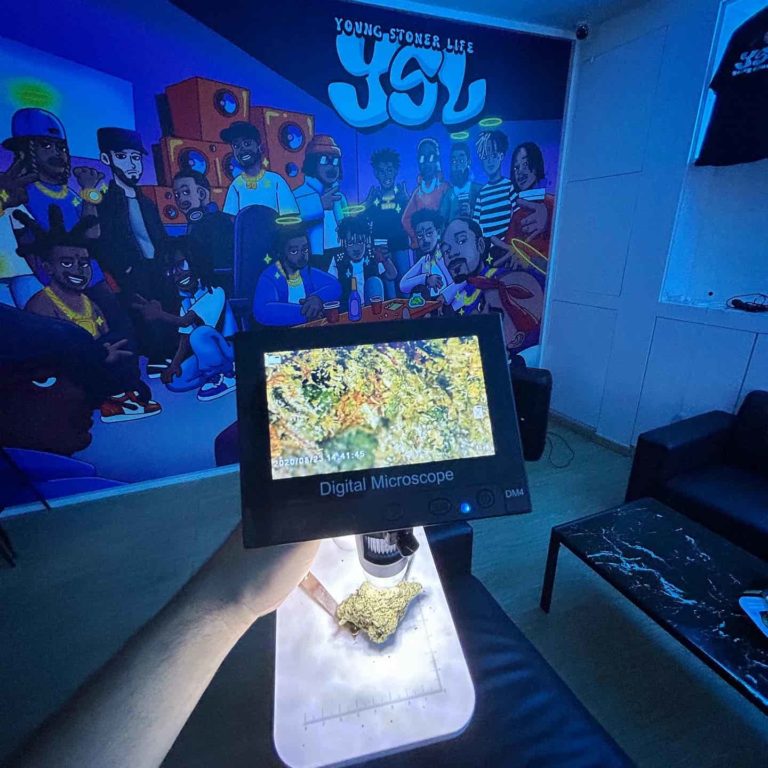 Young Stoner Life Cannabis Weed Dispensary Patong Phuket Thailand mirco 1 768x768