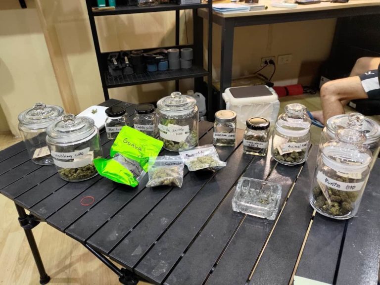 happy cannabis shop thailand strain selection 768x576