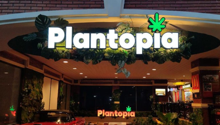 plantopia 768x436