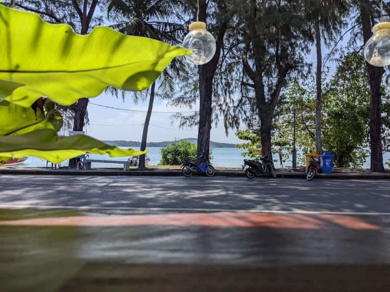 Cannabis cafe restaurant beach view 1 768x576