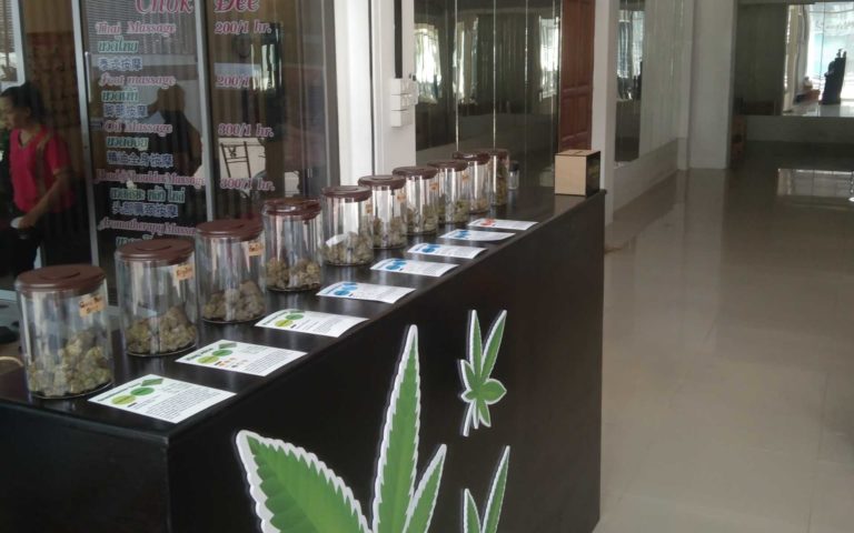 IMG 20230224 114704 1 768x480