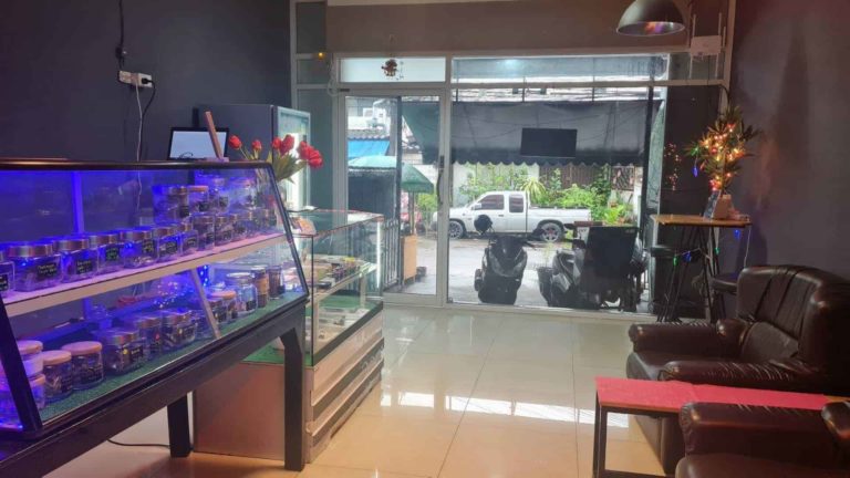 420 Medical Cannabis Dispensary Pattaya Insd Img 2 768x432