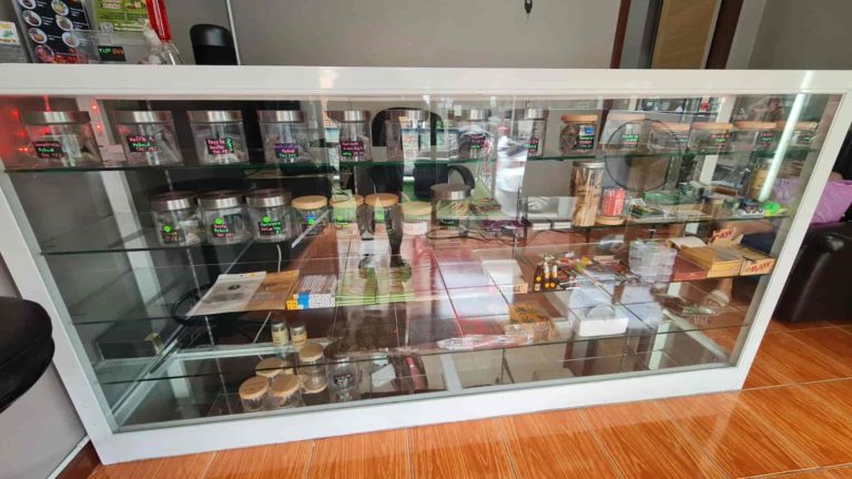 420 Medical Cannabis WongAmat Insd Img 2 768x432