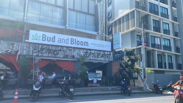 Bud and Bloom Cannabis Dispensary Cafe 1 768x432