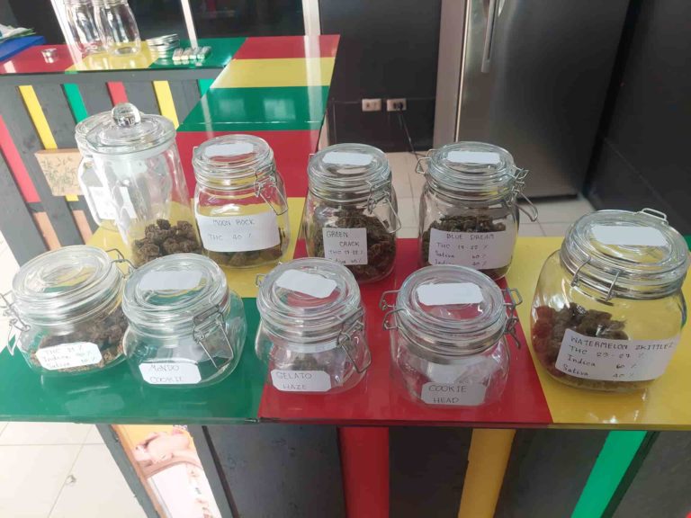 CHILLAX Cannabis dispensary Patong Phuket. 2 768x576