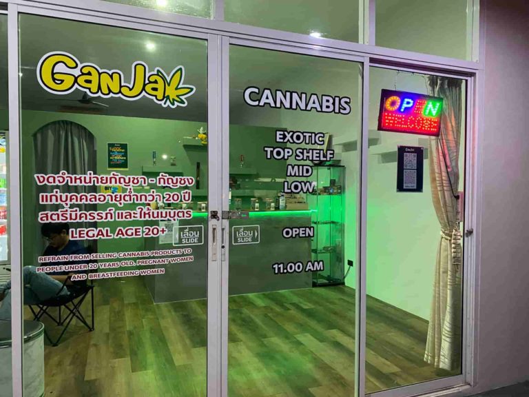 Cannabis Ganja Phuket 1 768x576