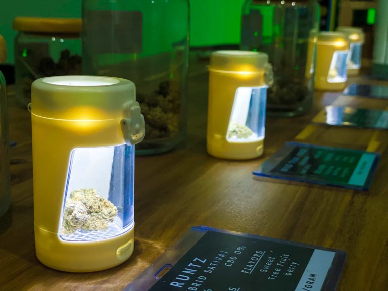 Cannabis Ganja Phuket 2 768x576