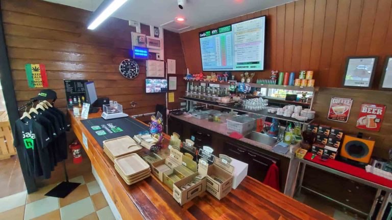 Ganjahub Pattaya Insd Img 2 768x432