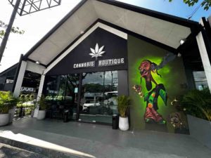 LV Cannabis Boutique Bang Tao Phuket Cannabis Dispensaries