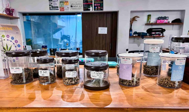 Mavoix8 Weed Shop Insd Img 2 768x456