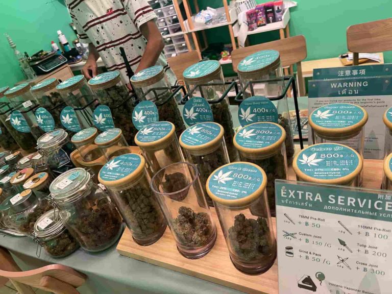 Meet Weed พบกัญ Jomtien Insd Img 2 768x576