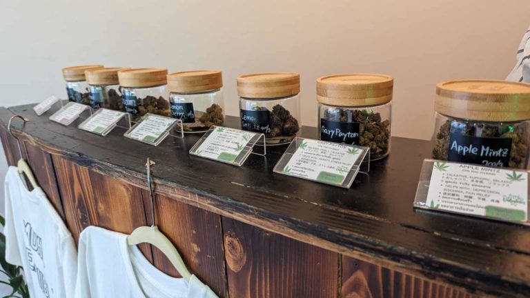 Sensii Insd Img 2 768x432