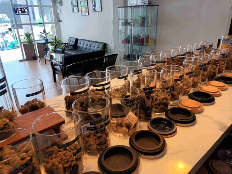 Space Bar Cannabis Weed Marijuanas Dispensaray Insd Img 2 768x576