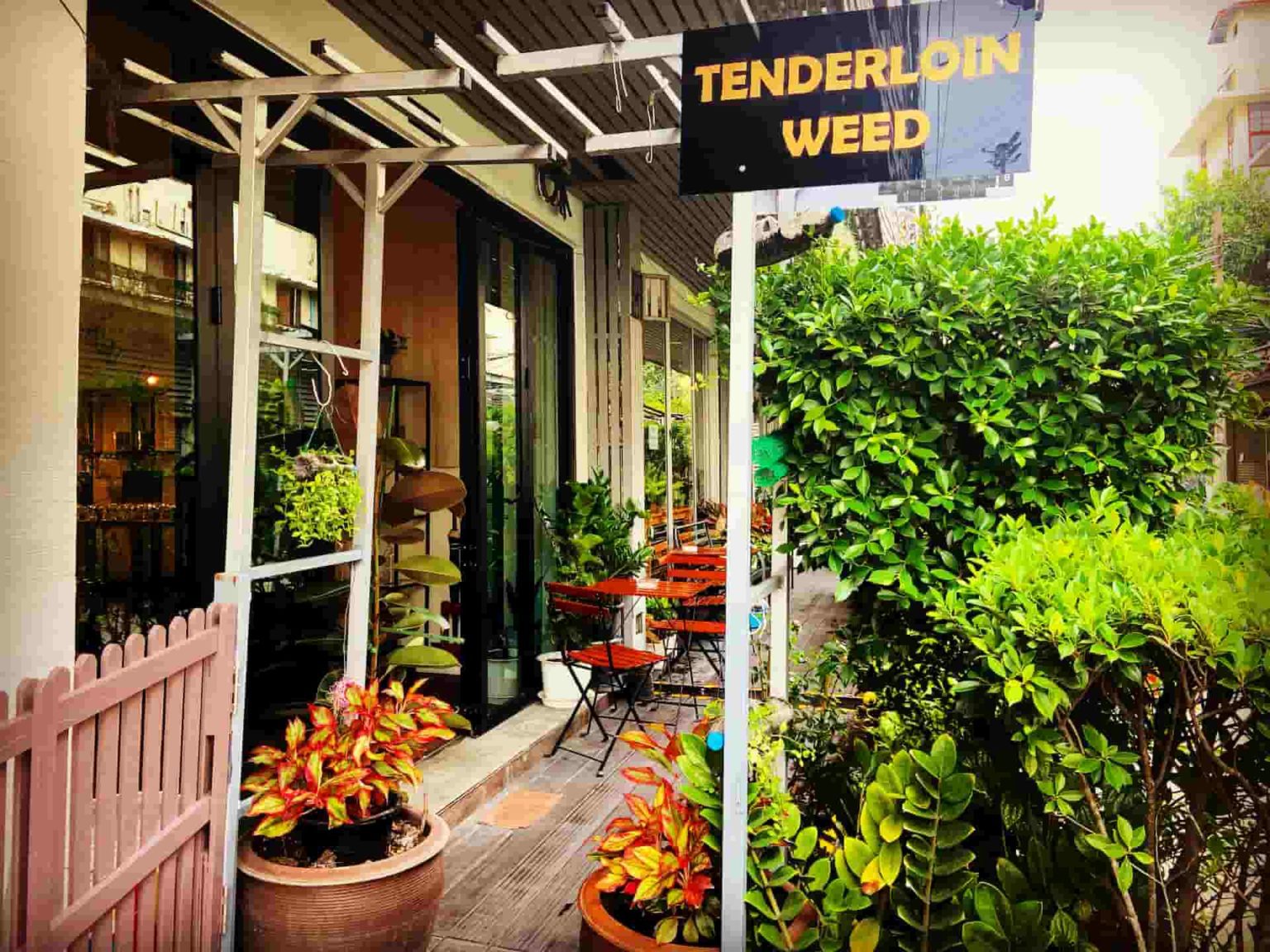 Tenderloin WEED Bangkok Cannabis Dispensaries in Bangkok