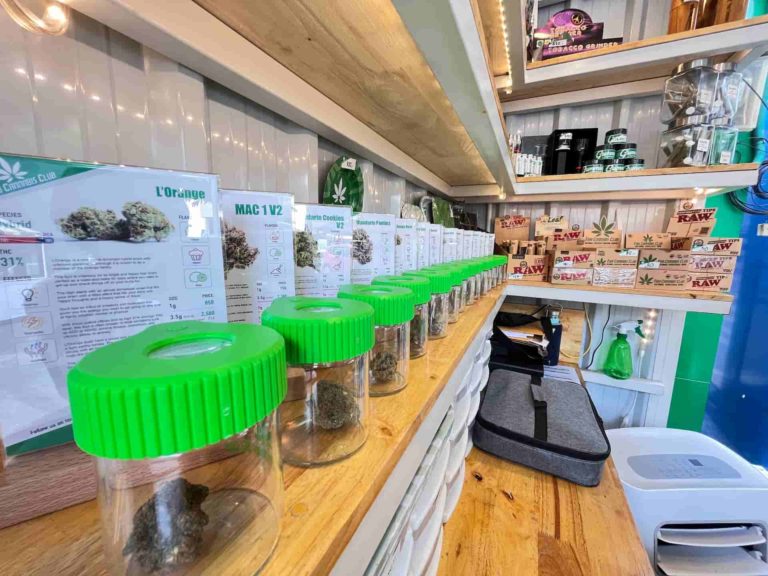 Thai Cannabis Club Insd Img 2 768x576