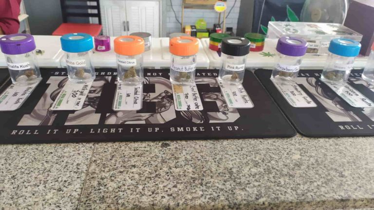 The Old Weed Man Beach Club Insd Img 2 768x432