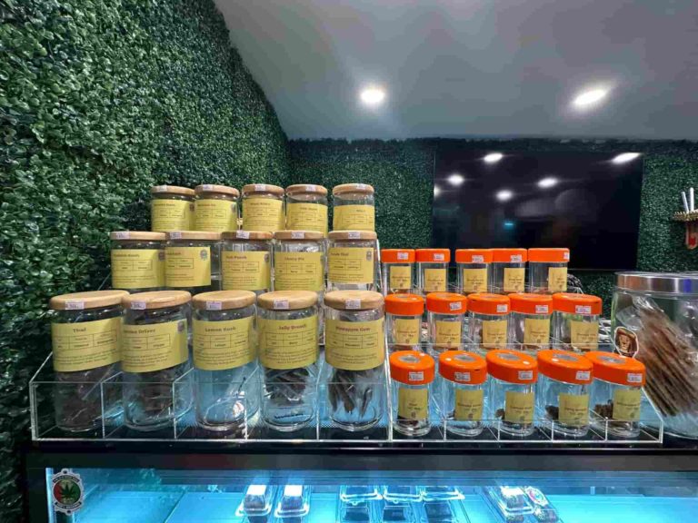 The Old Weed Man Insd Img 2 1 768x576