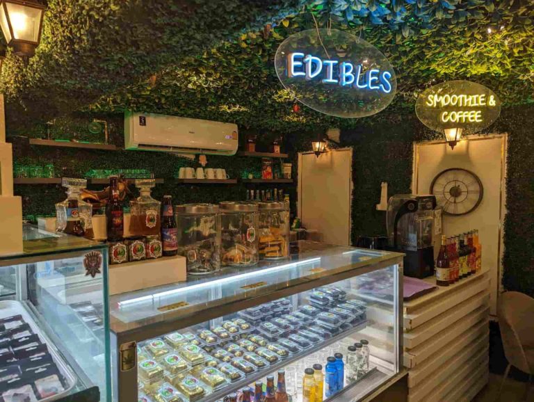 The Old Weed Man Lounge Insd Img 2 768x578