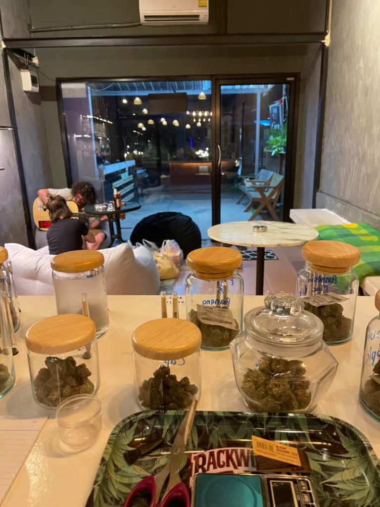 Weed Paradise Cannabis Dispensary Shop 2 768x1025