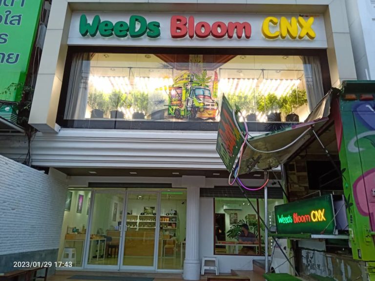 Weeds Bloom CNX Otsd Img 768x576