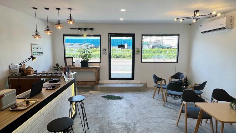 SeriKush Cannabis Shop 2 768x432