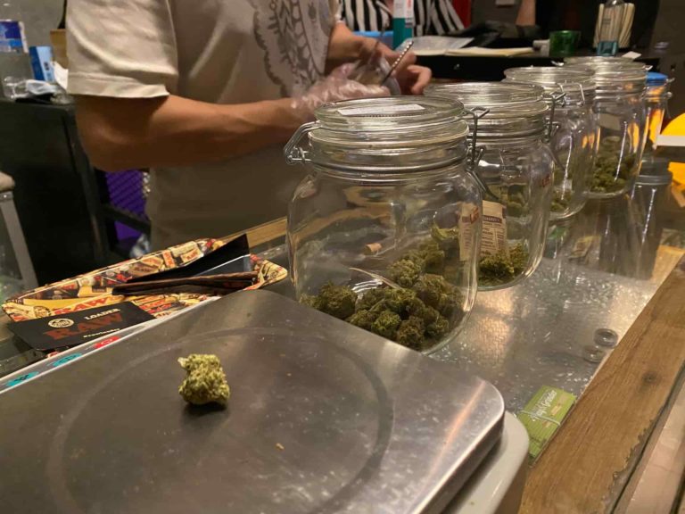 Smile Bear Cannabis Shop OG 2 768x576