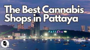 The Best Cannabis Shops in Pattaya