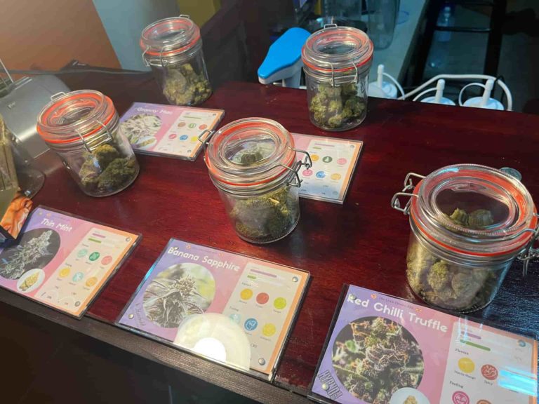 The little flower 420 2 768x576