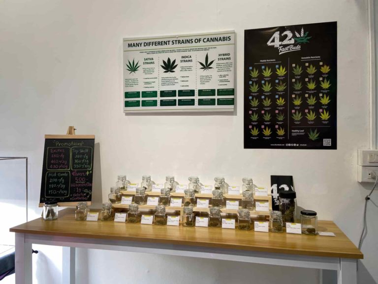 Weedforlife420r 2 768x576