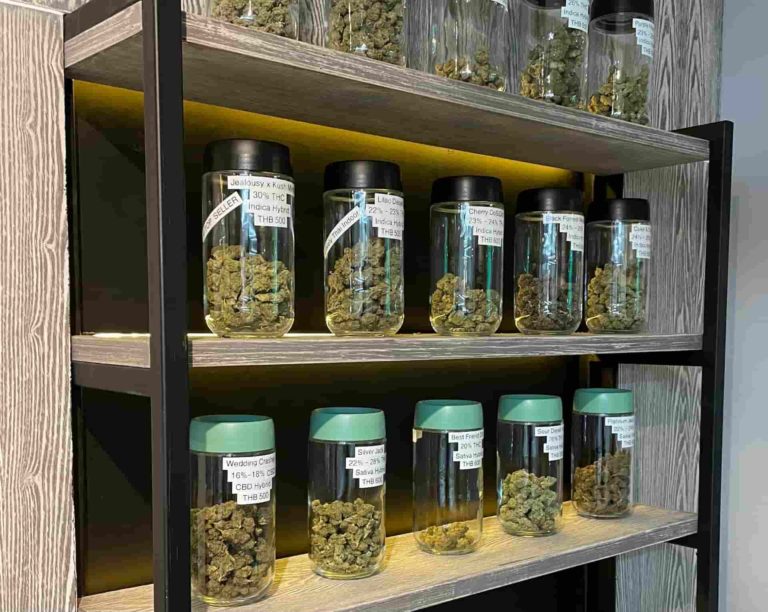 BUDZ 4 LESS 2 768x612