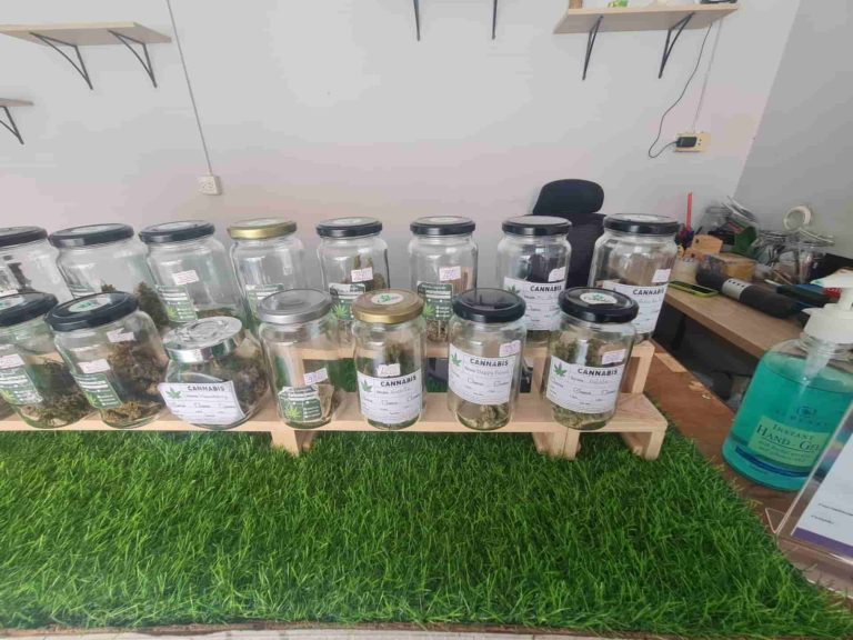 Cannabis @ the Airport 2 768x576