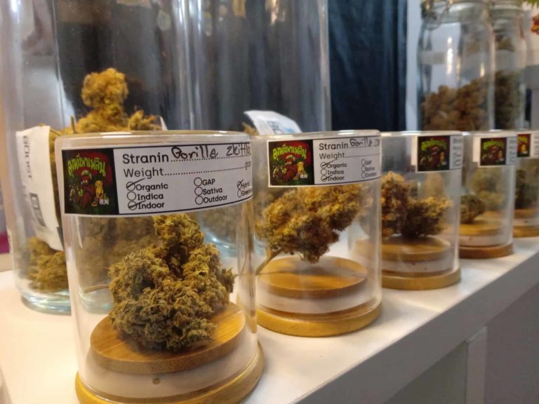 Cannabis Cafe Lung mee weed 2 768x576