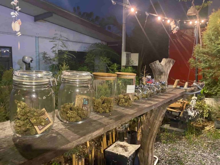 Cannabis shop. bar. restaurant 2 768x576