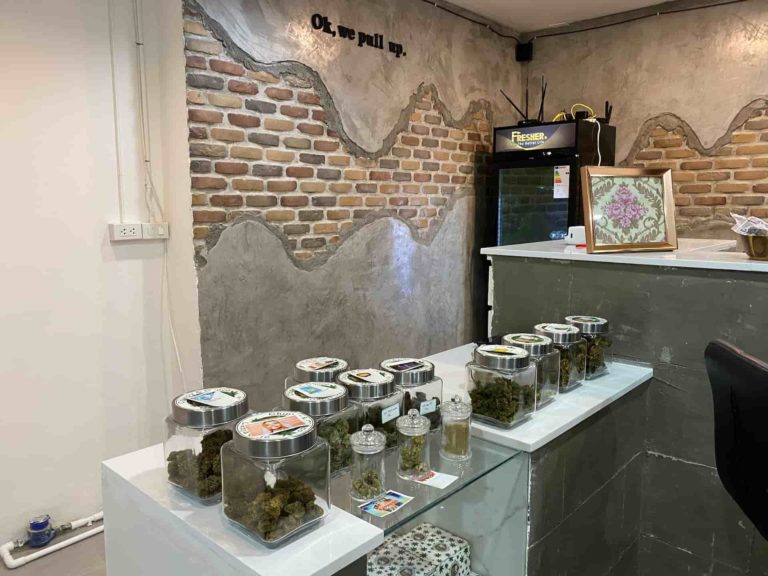 Chippy and Choco 2 768x576