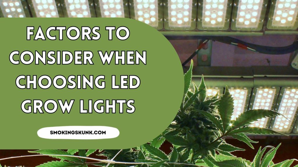 Factors to Consider When Choosing LED Grow Lights