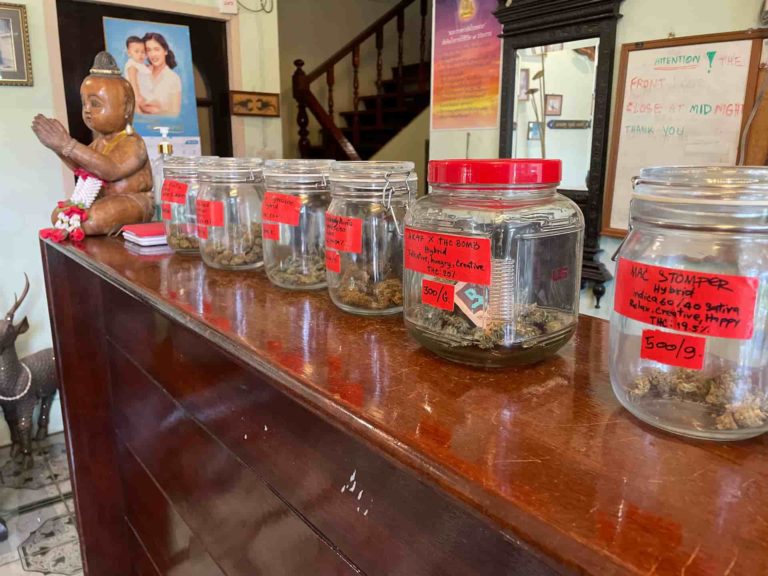 Huahin Kale Biz Weed 2 768x576