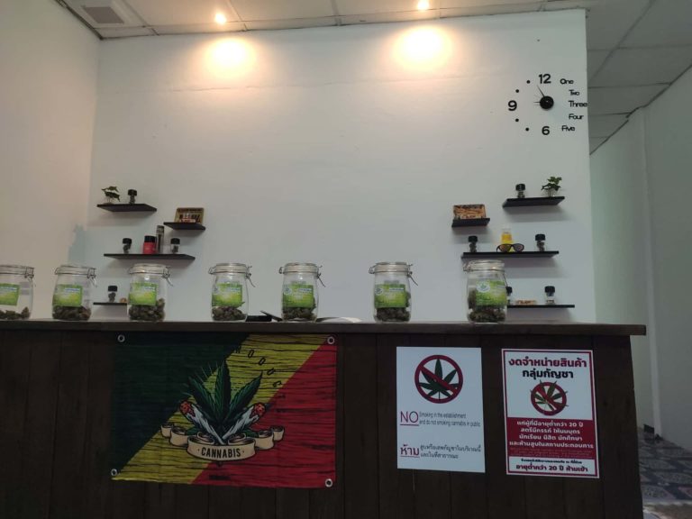 Organic Cannabis Farm 2 768x576